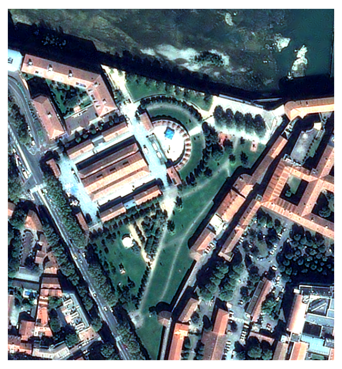 Initial VHR image
