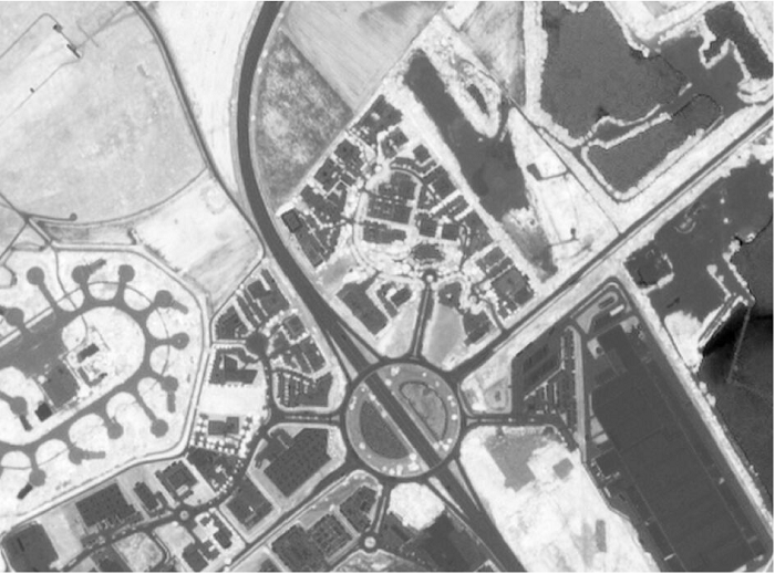 NDVI image